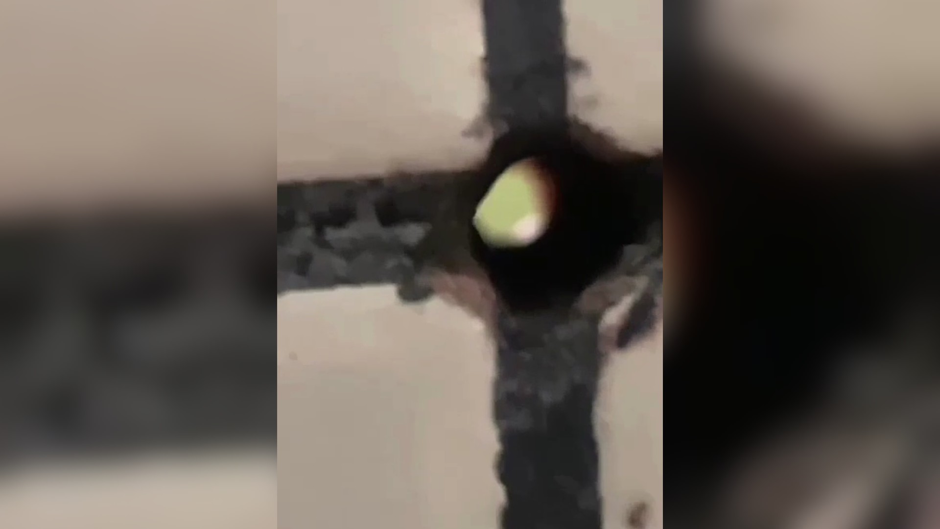 VÍDEO: Homem cria buraco para espionar adolescentes no banheiro e é indiciado por importunação sexual em MG