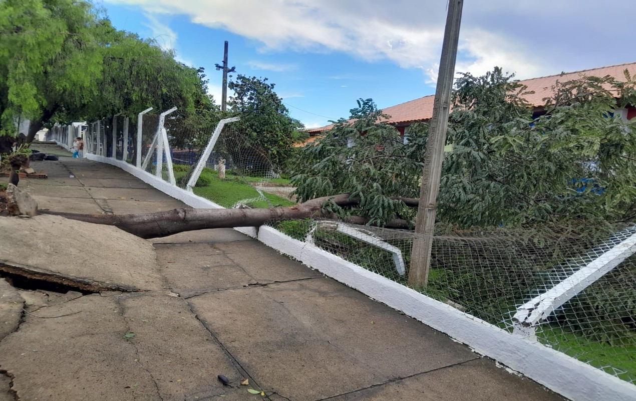 Chuva com rajadas de até 65 km/h causa enxurradas, deslizamentos e queda de árvores em Itapeva