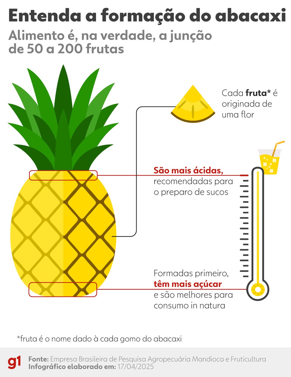 Entenda a formação do Abacaxi — Foto: Arte g1/ Gui Sousa