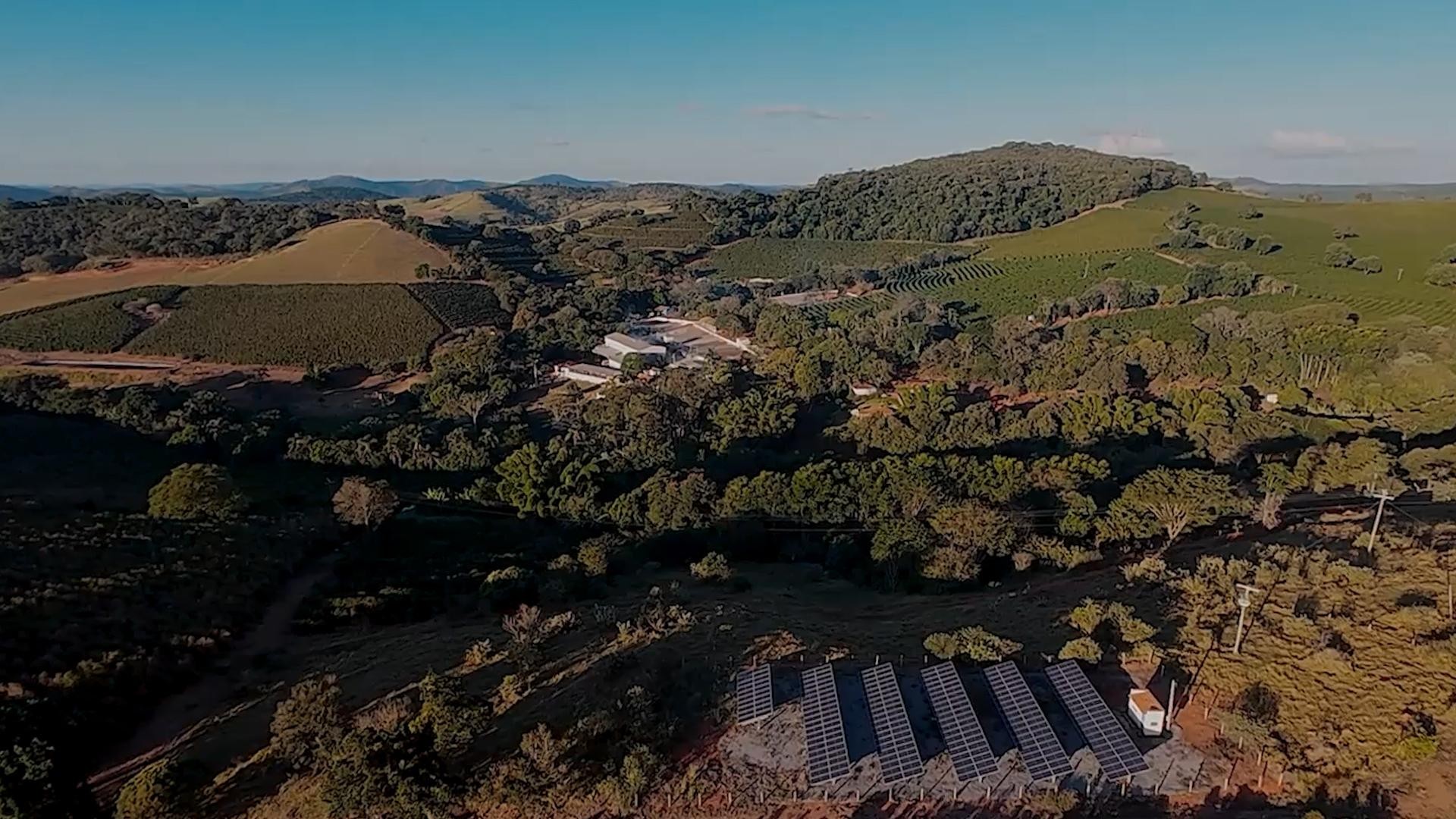 Fazenda de Três Pontas recebe 1º crédito de carbono por cafeeiros no Brasil