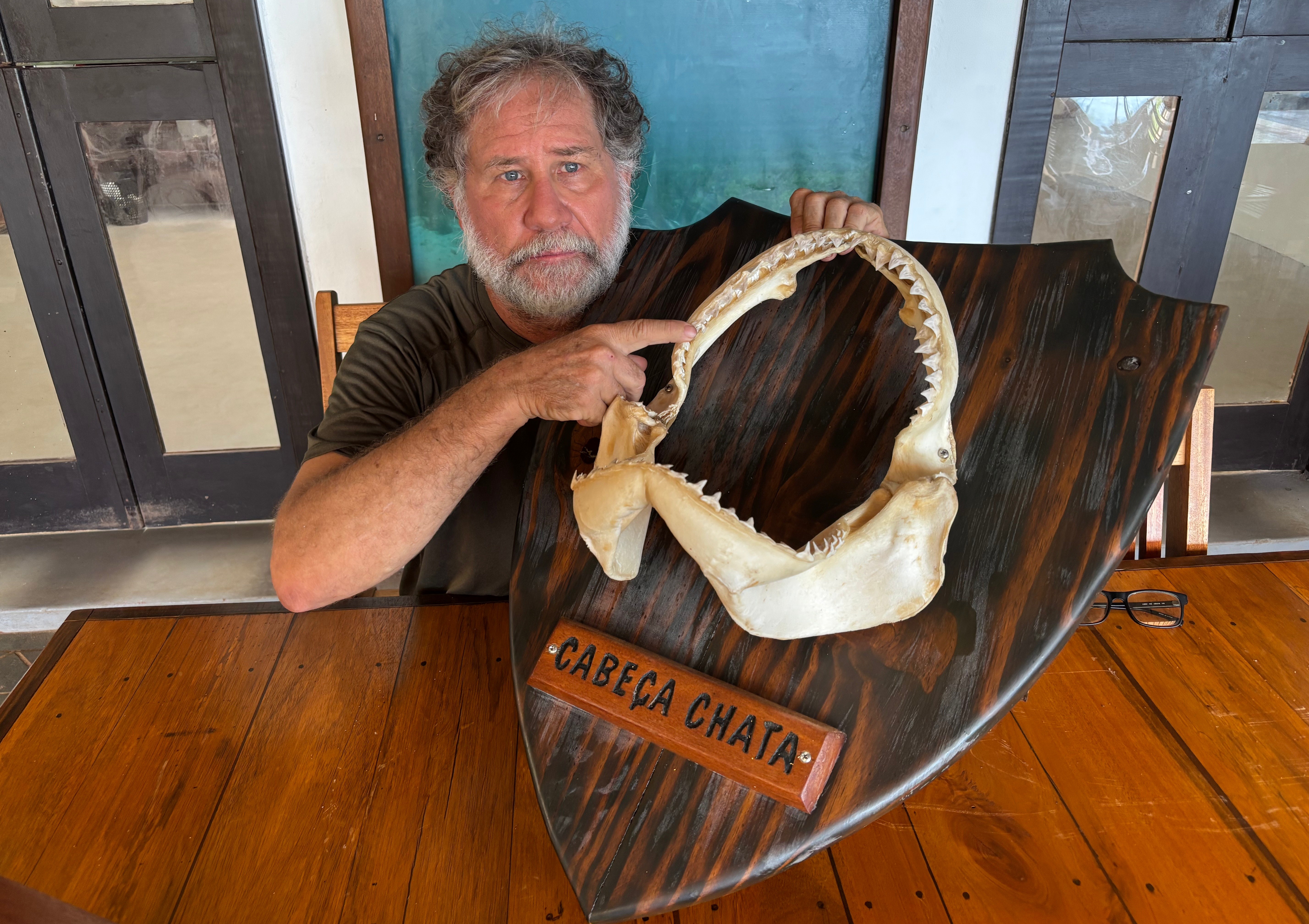 Especialista aponta diferenças em incidentes com tubarões em Fernando de Noronha e Olinda