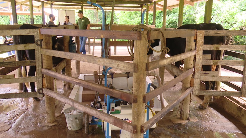 Laboratório funciona em área de 2 hectares na Ufac — Foto: Reprodução