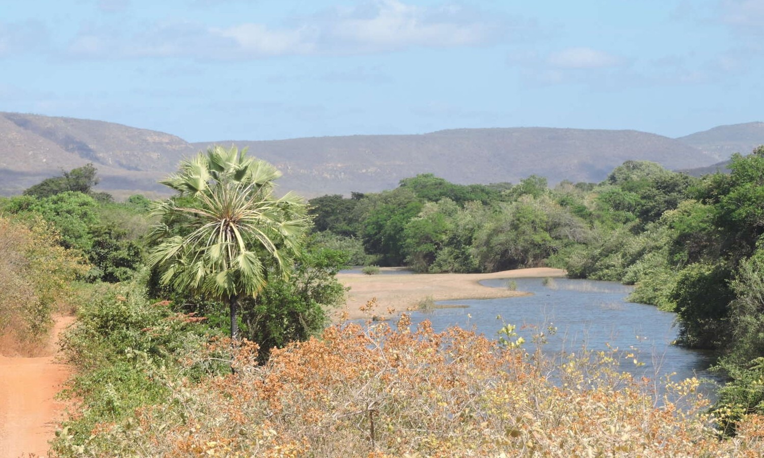 Agrotóxico em peixes do rio Poti pode causar câncer em humanos, aponta pesquisa da UFC