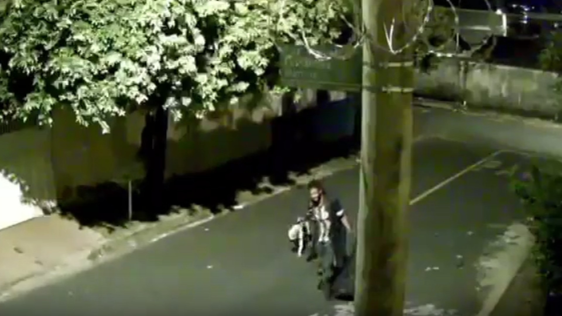 VÍDEO: Pitbull é espancado pelo próprio dono em Uberlândia