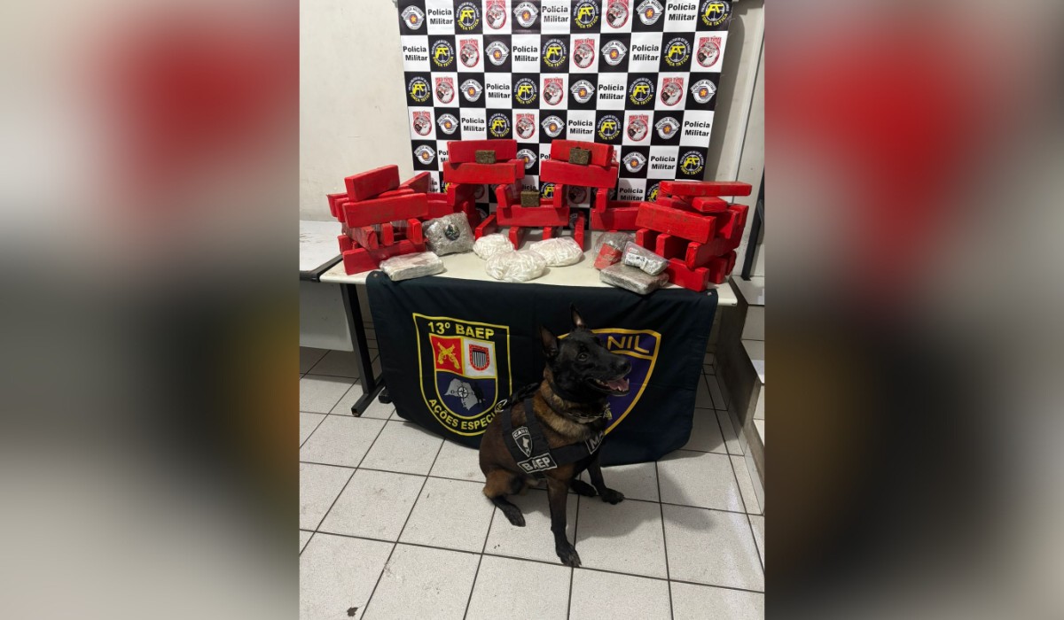 Mais de 50 quilos de drogas são apreendidos com ajuda de cães farejadores em Marília