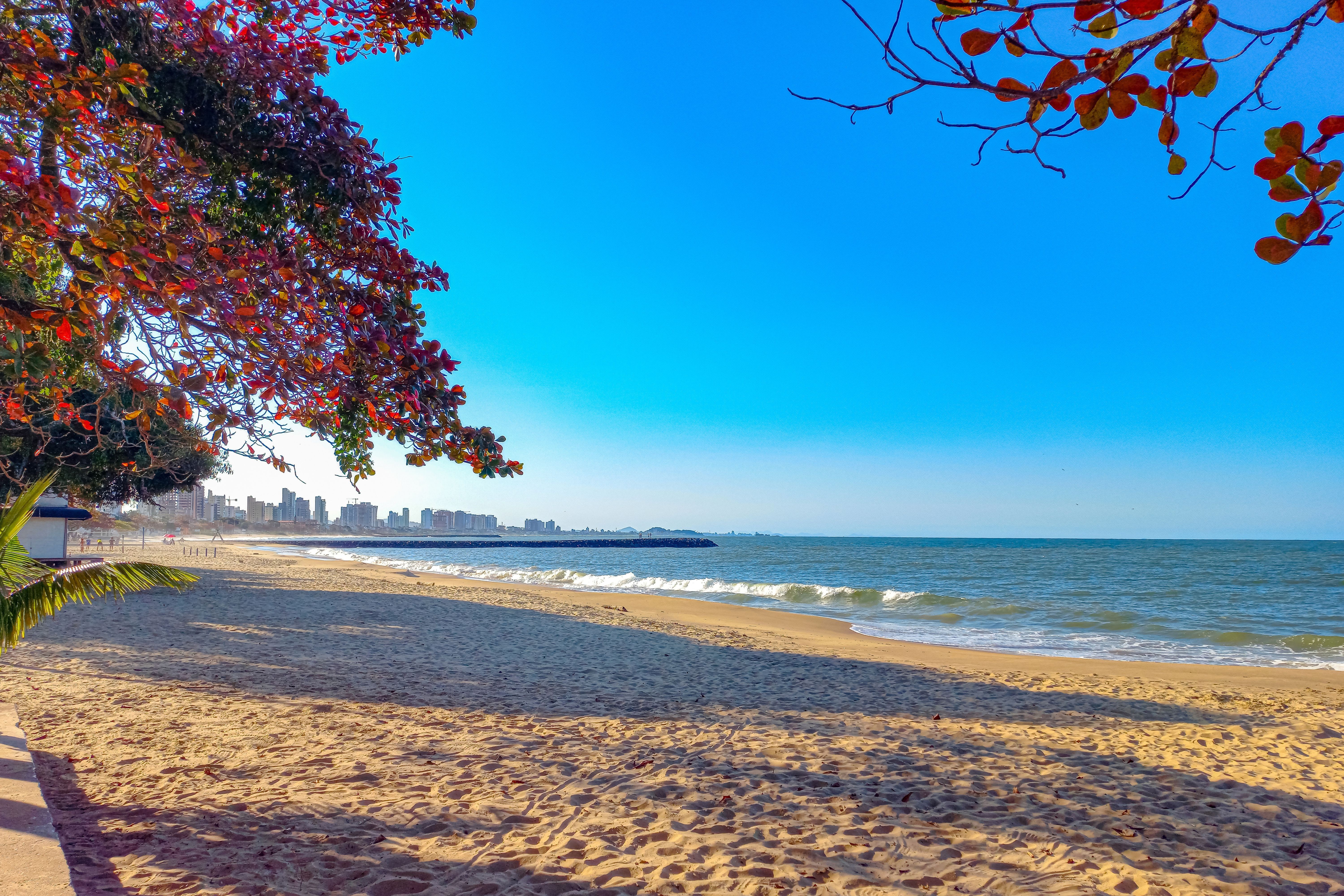 Balneário Piçarras será a nova Praia Brava do litoral norte catarinense