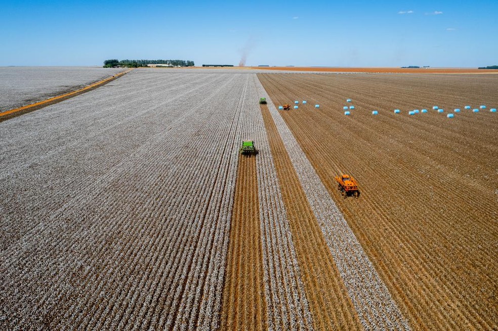 Mato Grosso se mantém na liderança da produção de grãos — Foto: Secom-MT