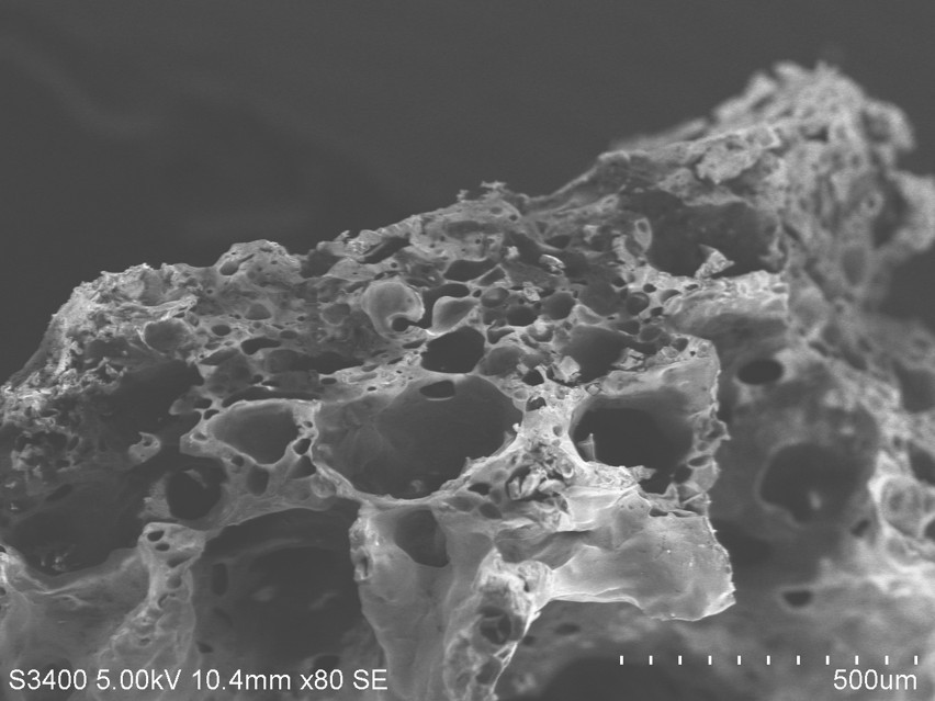 Imagem feita por um microscópio eletrônico da capsula de lignina depois processamento — Foto: CCS Nano / Unicamp