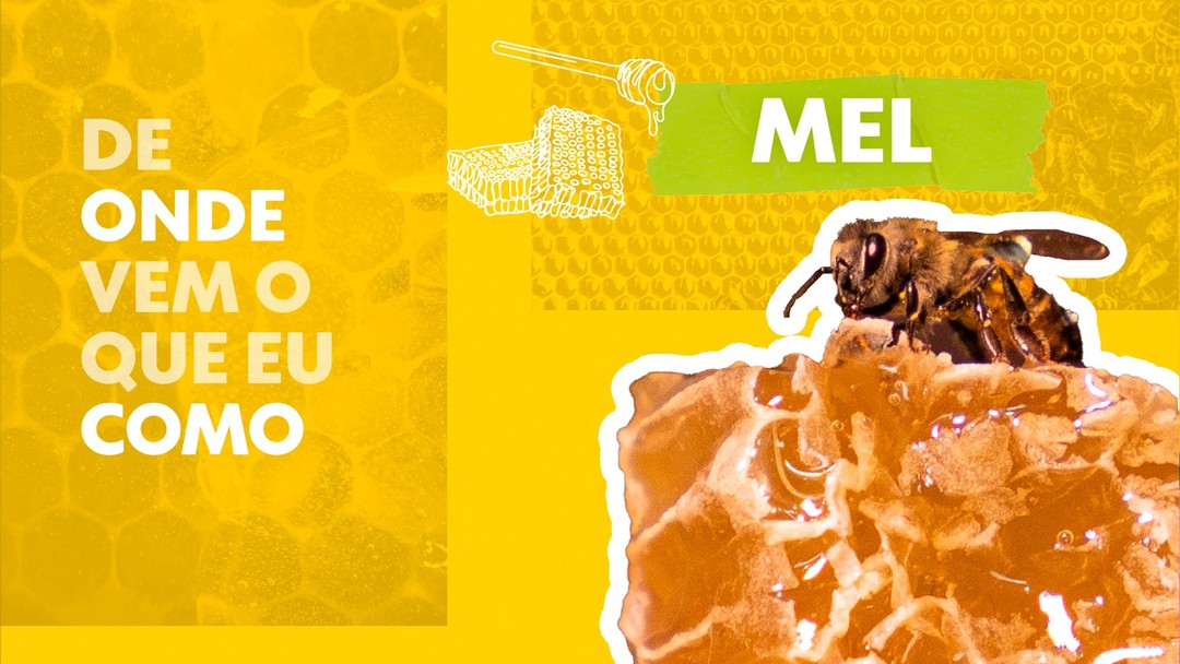 De olho na bagagem: veja quais alimentos não podem entrar no Brasil e os que são liberados