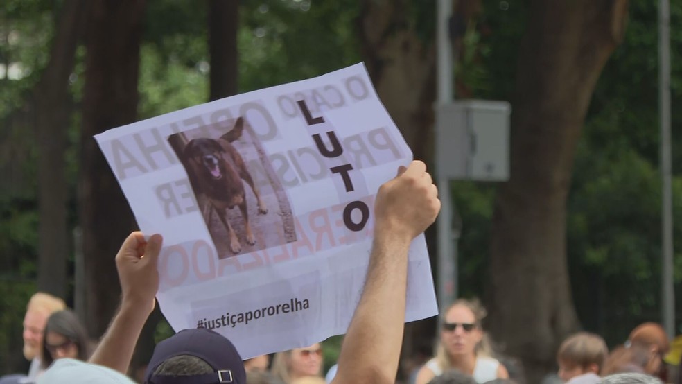 Manifestantes fazem ato na Av. Paulista neste domingo (1°) pedindo Justiça pelo cão orelha, morto em Florianópolis (SC). — Foto: Reprodução/TV Globo