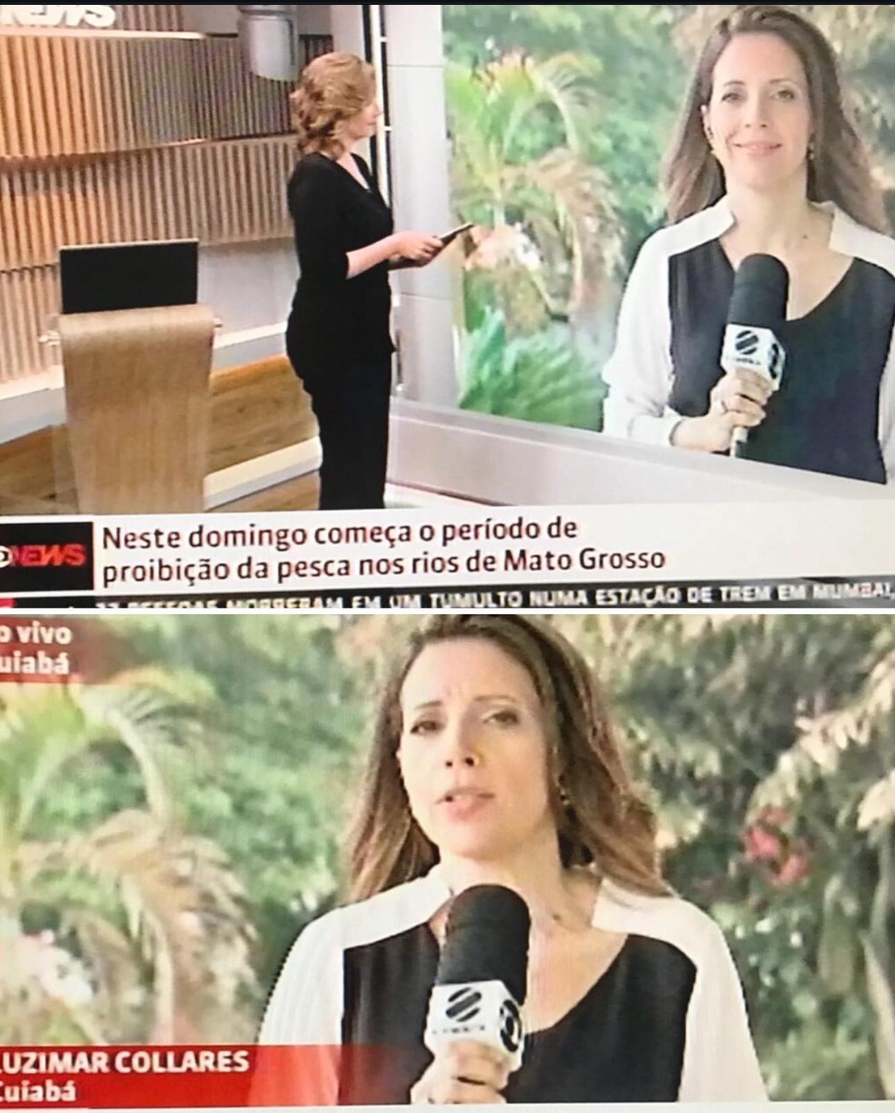 Uma das inúmeras participações da jornalista no Globo News — Foto: Reprodução