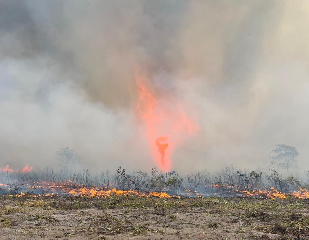 Redemoinho de fogo atinge o Cerrado mato-grossense — Foto: Cássio Caramori/arquivo pessoal