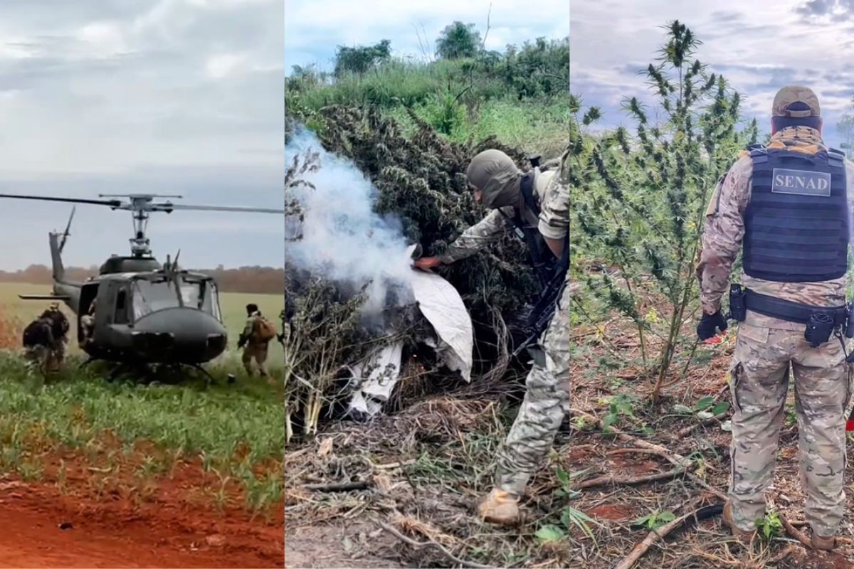 Em 6 dias, 200 toneladas de maconha são apreendidas em operação na fronteira entre Paraguai e Brasil