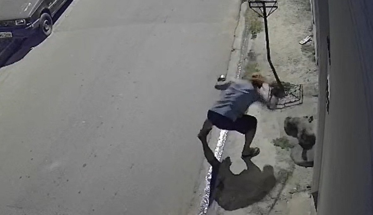 VÍDEO: Homem é preso em flagrante por agredir cachorro a pauladas em Atibaia (SP)