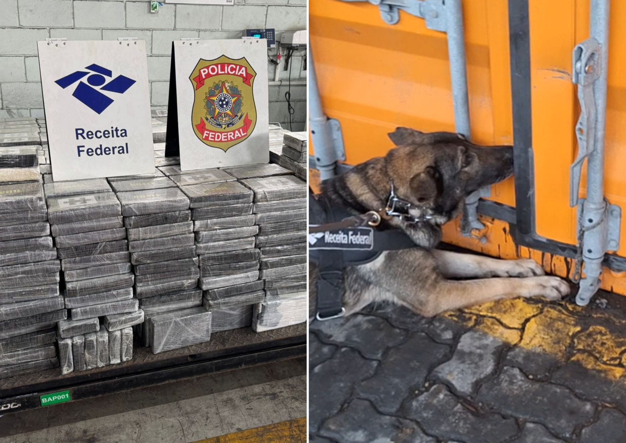 Maior apreensão de cocaína em 4 anos: Receita Federal intercepta 1,5 tonelada no Porto de Santos