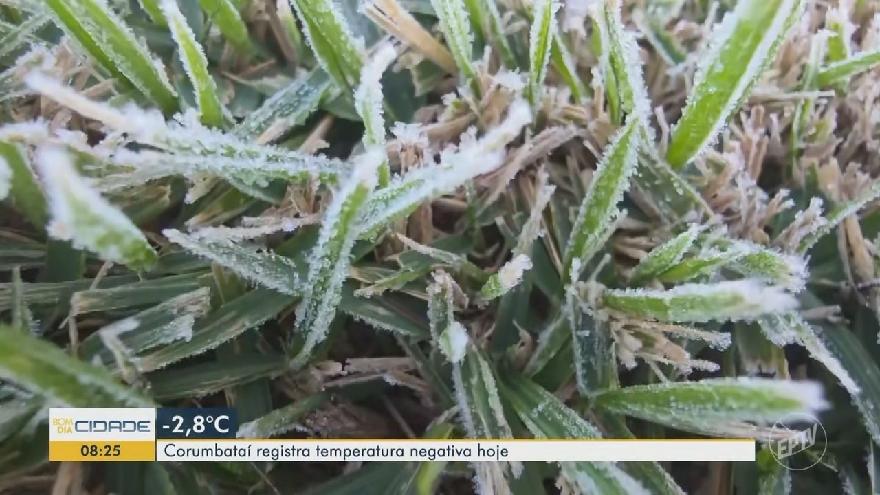 Frio e geada: Corumbataí registra -2,8°C e Itirapina -2,3°C nesta quarta-feira