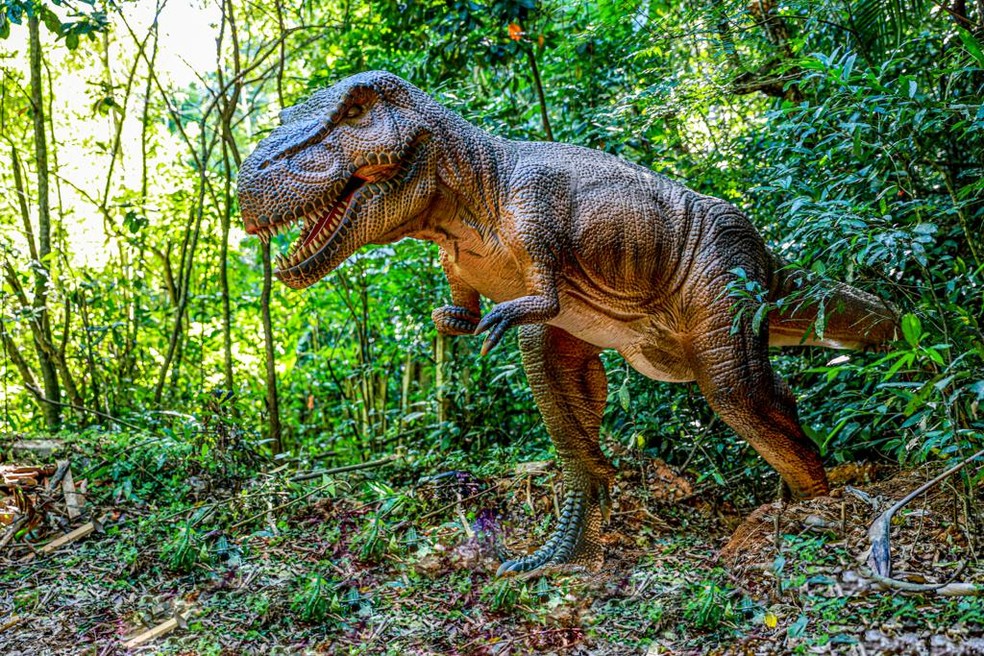 Parque do T-Rex - Dinossauros para Crianças 