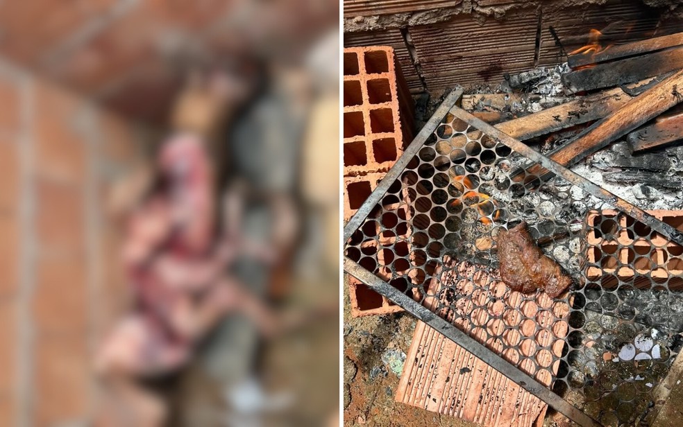 Cão da família foi morto a pauladas e teve a carne assada em uma churrasqueira improvisada, segundo a Polícia Civil. Caso ocorreu em Planaltina de Goiás — Foto: Divulgação/Polícia Civil -GO
