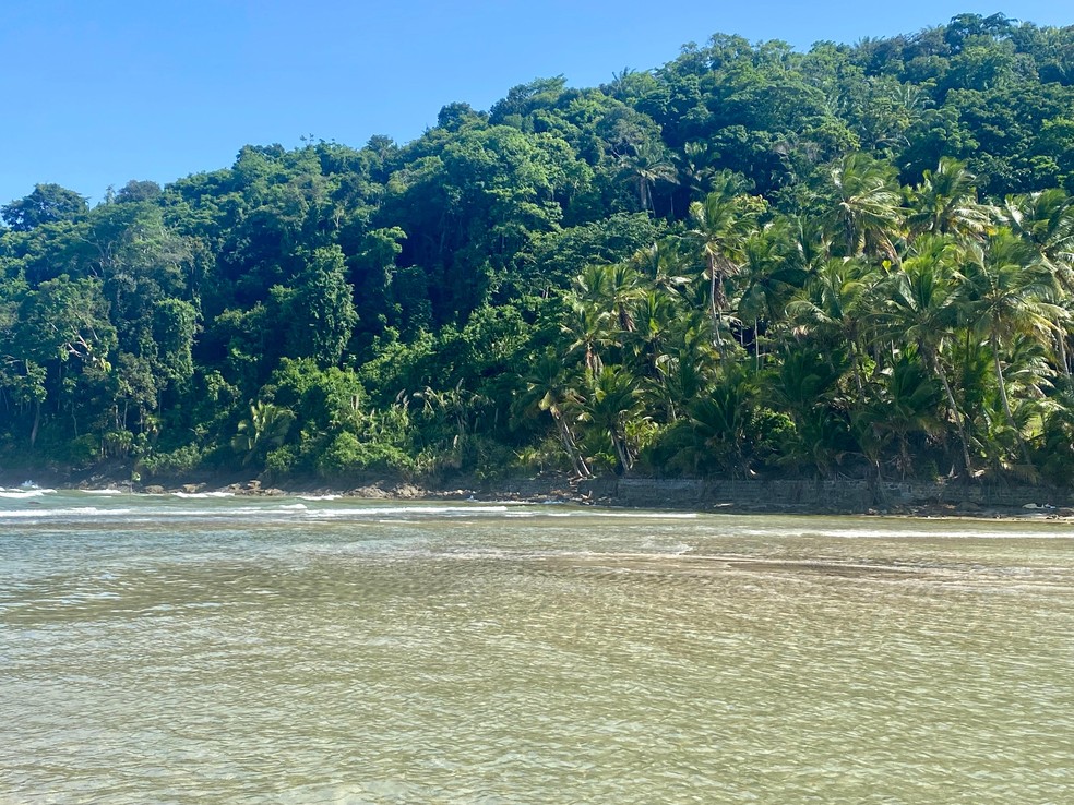 Praia de Jeribucaçu, em Itacaré, na Bahia — Foto: Malu Vieira/ g1 BA