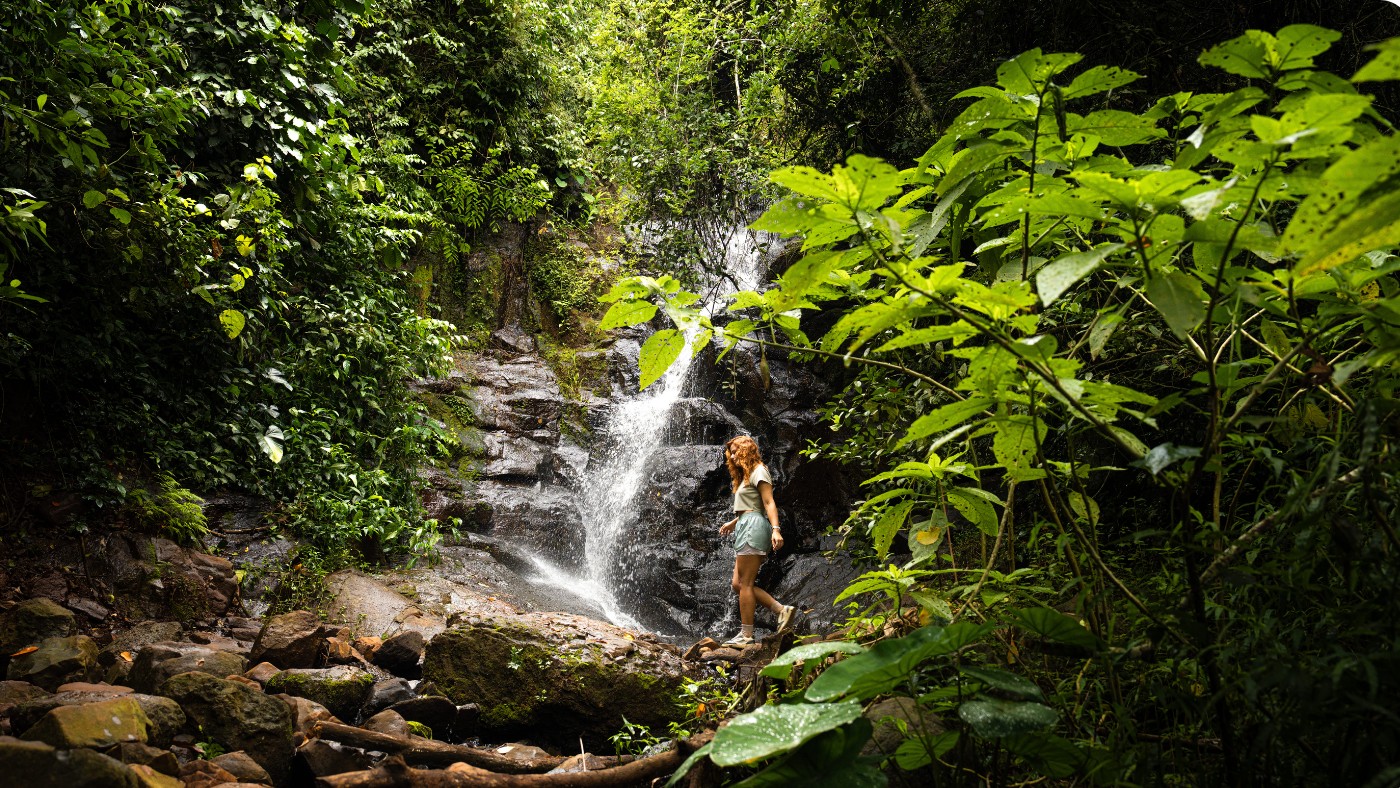 Ecoturismo em Foz: Conecte-se com as Trilhas do Destino Iguaçu