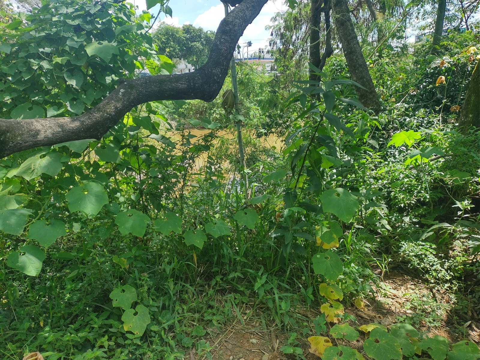 Marginal Direita: Justiça dá prazo de 15 dias para Prefeitura de Sorocaba explicar descumprimento de acordo