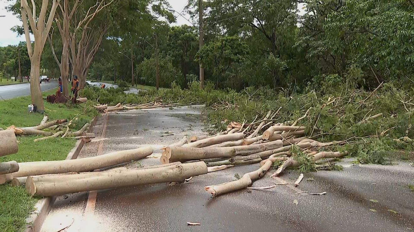 Após sábado de alagamentos, previsão é de mais chuva na região de Ribeirão e Franca nos próximos dias