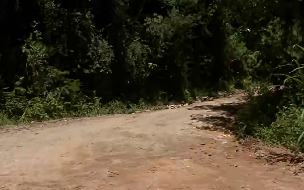 Corpos dos jovens foram encontrados amarrados às margens de estrada em Biguaçu (SC) — Foto: Polícia Militar de Santa Catarina