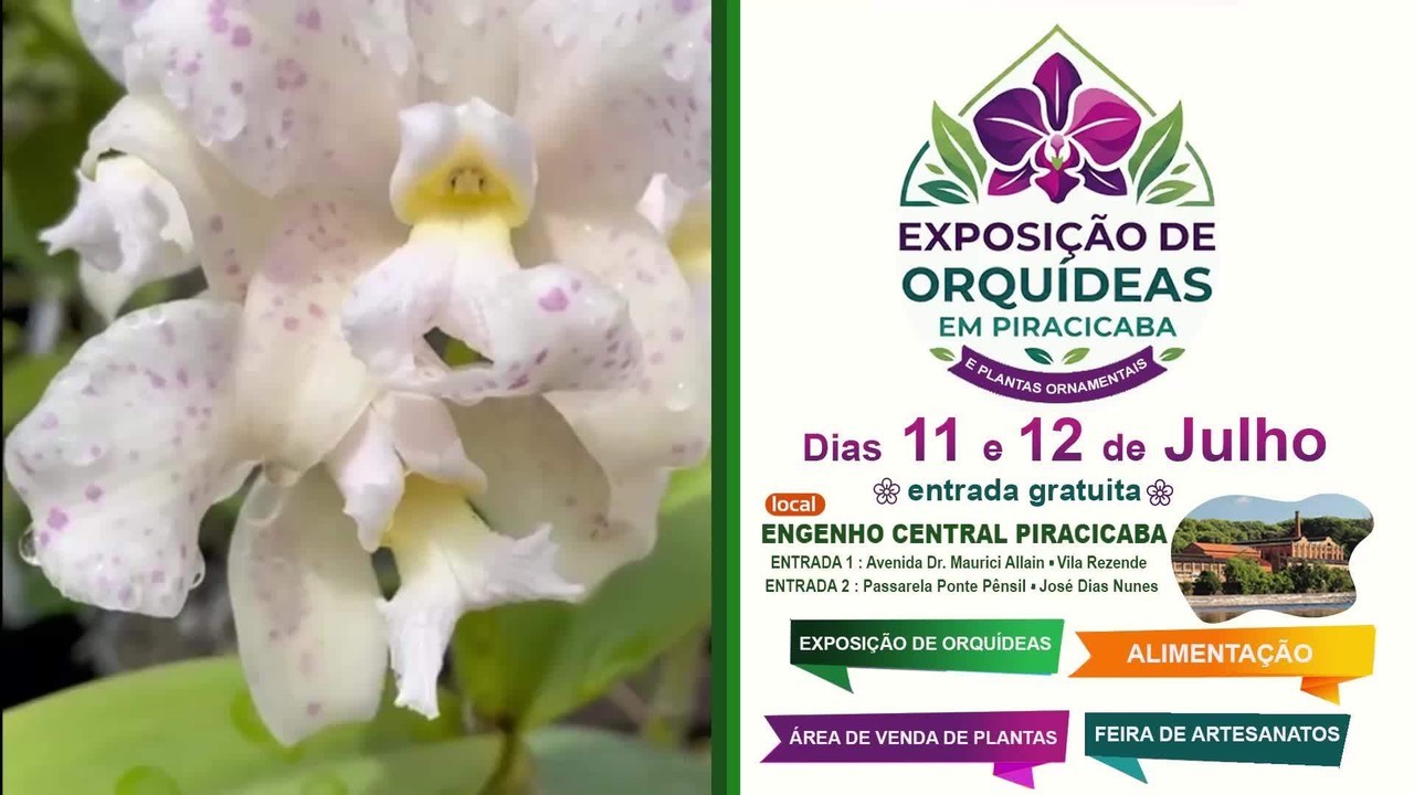 Piracicaba, recebe Exposição de Orquídeas no Engenho Central no final de semana