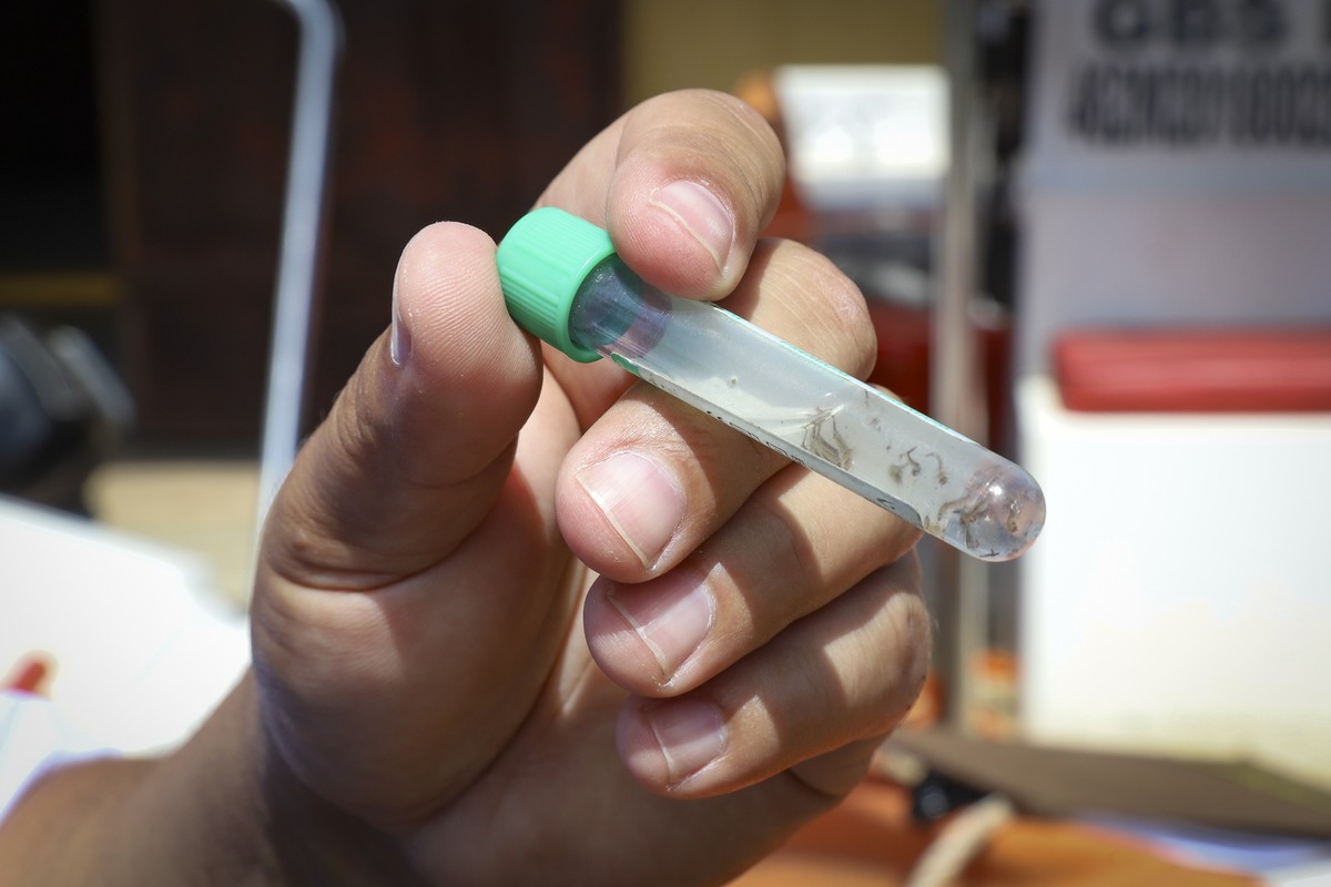 Lideranças do Brasil e Paraguai discutem medidas de combate à chikungunya e dengue na fronteira