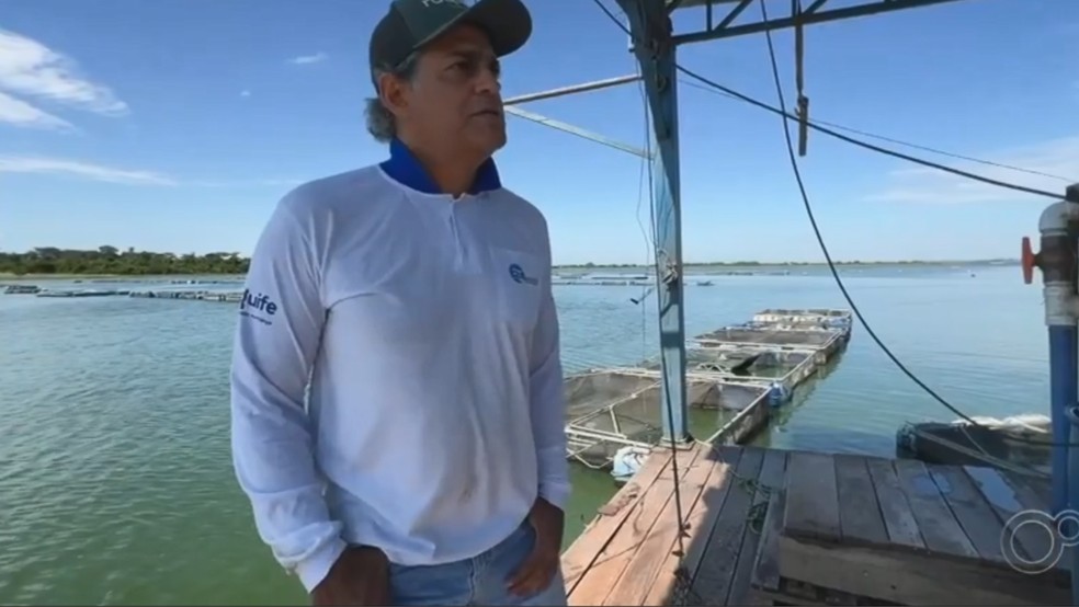 Piscicultor Rômulo Cury perdeu a produção em peixes em Zacarias (SP) — Foto: Reprodução/TV TEM
