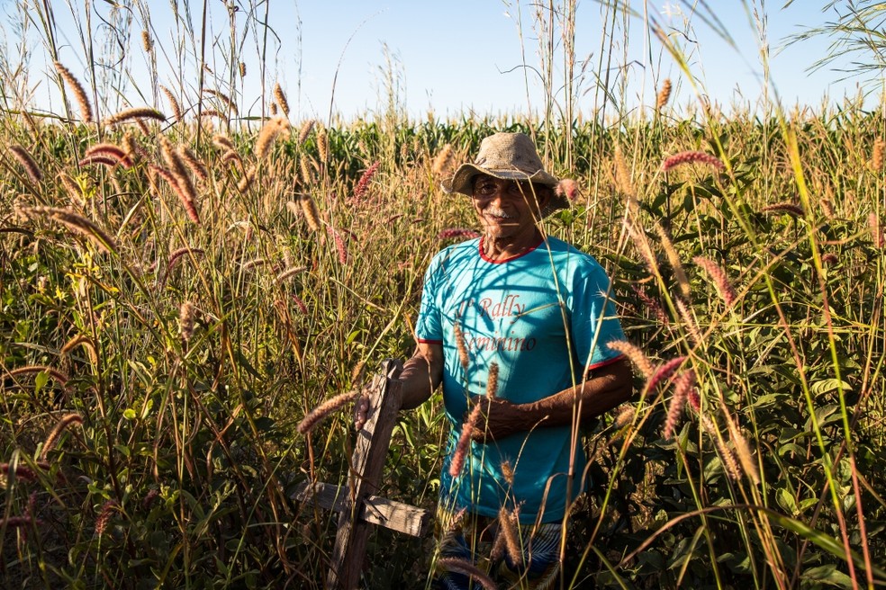 Modos de vida em harmonia com a natureza contribuem para a proteção dos biomas, garantindo a todos água, ar e alimento de qualidade — Foto: Thomas Bauer/ISPN