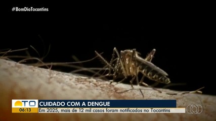 Tocantins registra mais de 12 mil casos de dengue no primeiro semestre de 2025