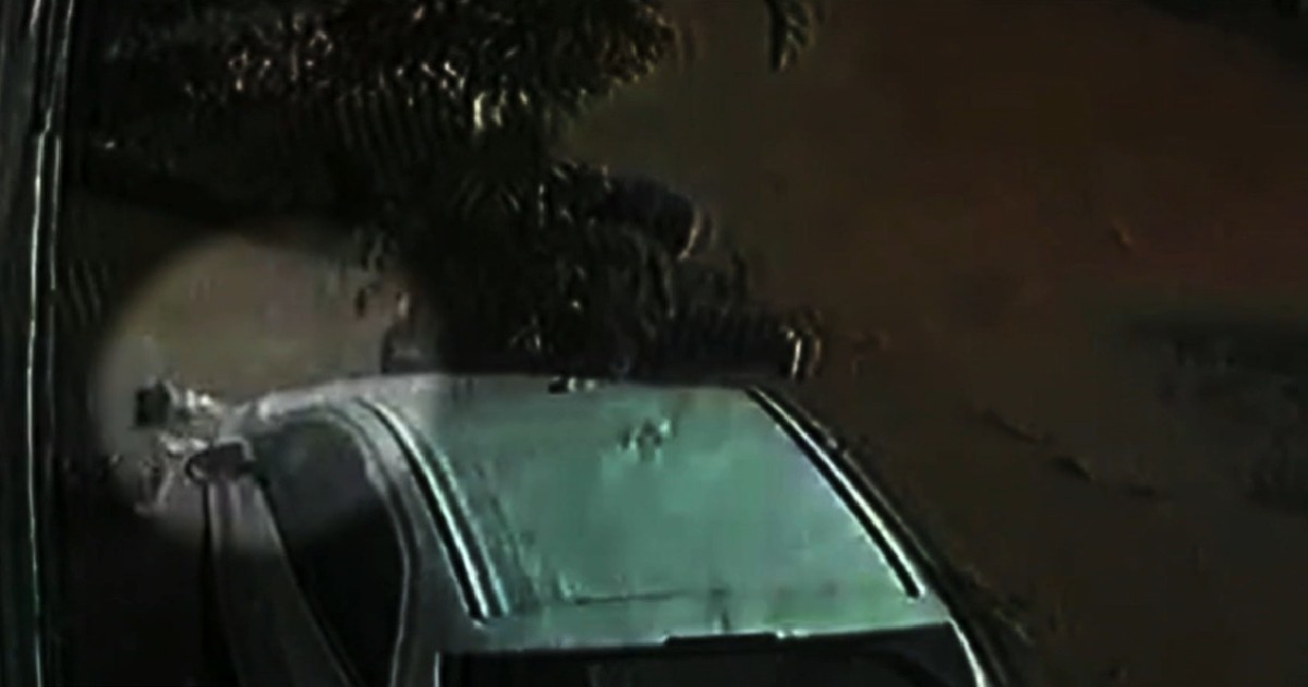 'Pulei o muro e consegui resgatá-la': diz jovem que salvou mulher arrastada por conrrenteza em Barra Mansa