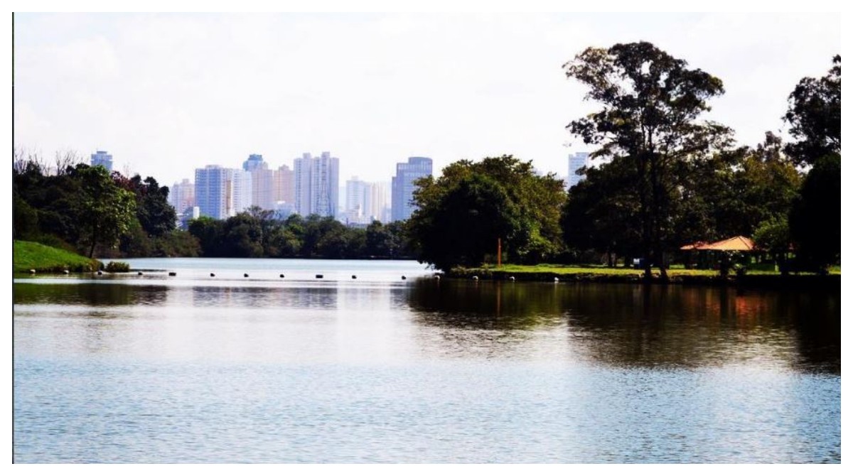 Mulher é encontrada morta seminua perto do Parque Ecológico do Tietê em São Paulo