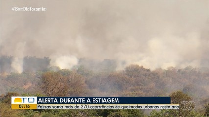 Ocorrência de queimadas urbanas aumenta em Palmas