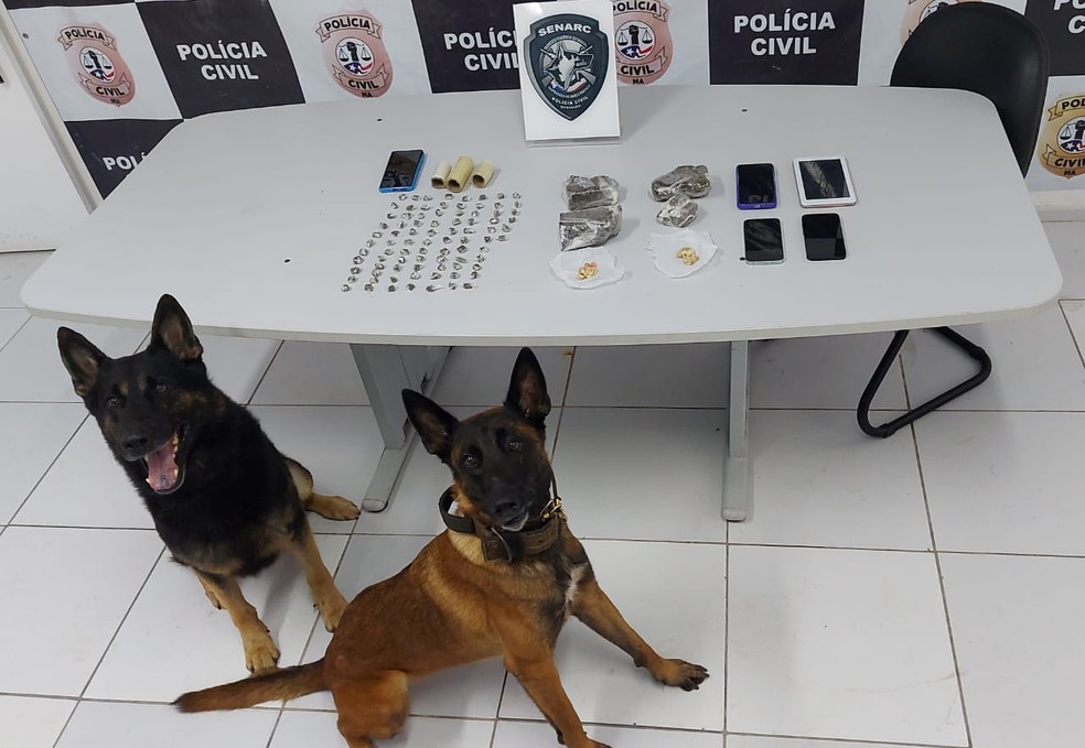 Operação da Polícia Civil resultou em apreensão de drogas, na Grande São Luís — Foto: Divulgação/Polícia Civil