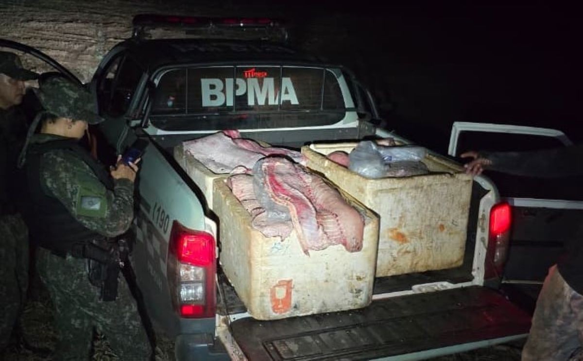 Quase 350 kg de pirarucu são flagrados com homens perto de reserva indígena no Tocantins 