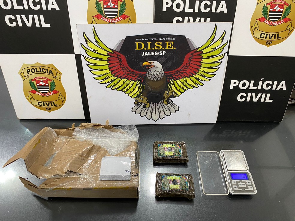 Jovem é preso após receber drogas avaliadas em R$ 7 mil pelos correios no interior de SP — Foto: Polícia Civil/Divulgação
