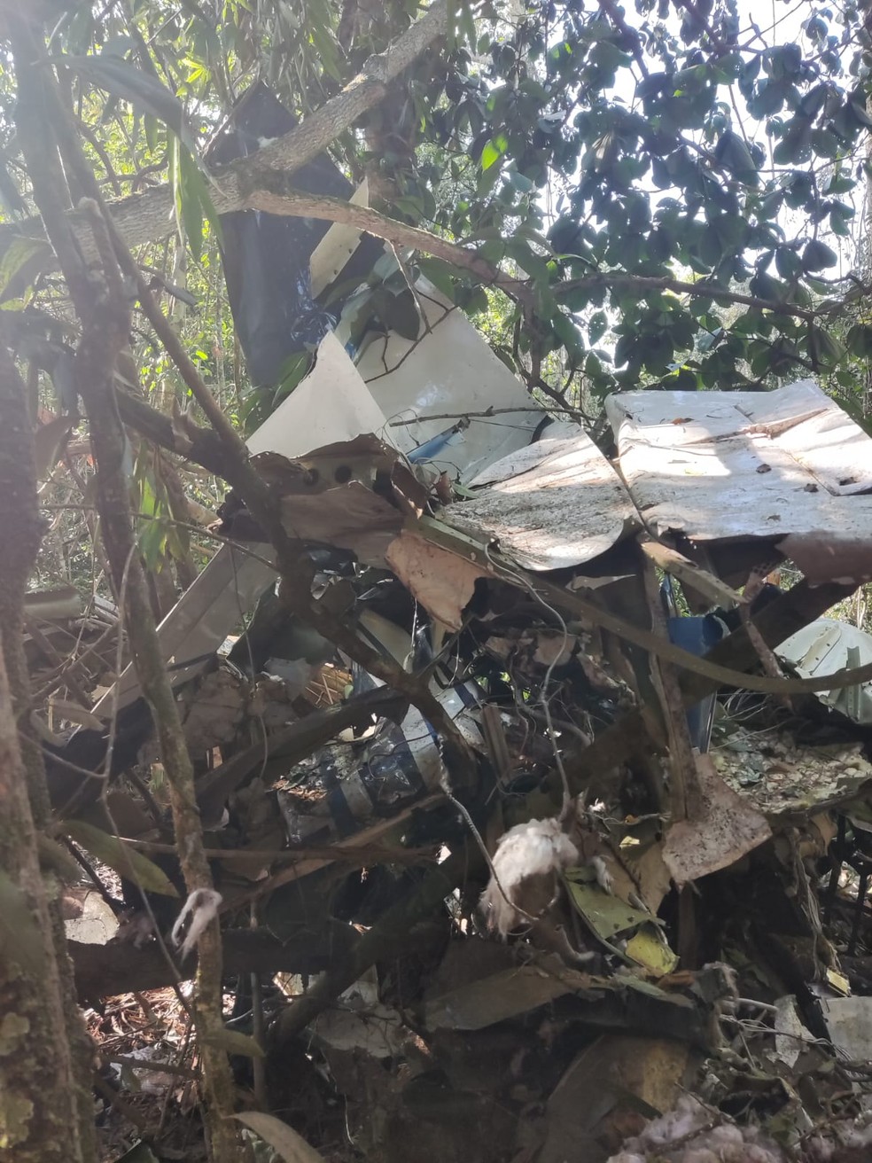 Destroços de aeronave que caiu em Vilhena, numa área de mata — Foto: Reprodução