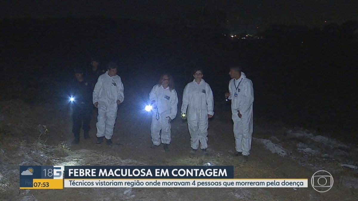 Apresentadora da Globo lamenta figurino escolhido no Bom Dia SP