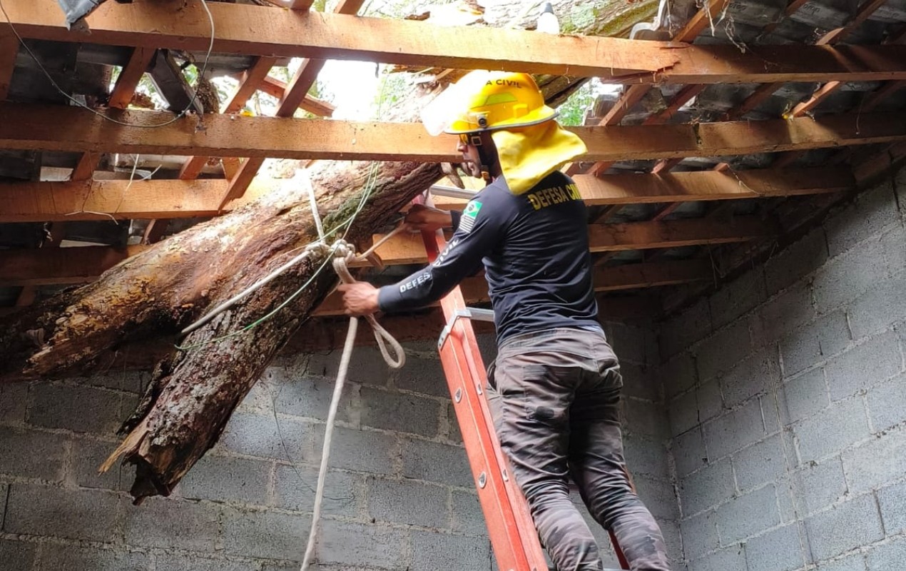 Chuva forte derruba árvores e causa estragos em cidades do interior de SP