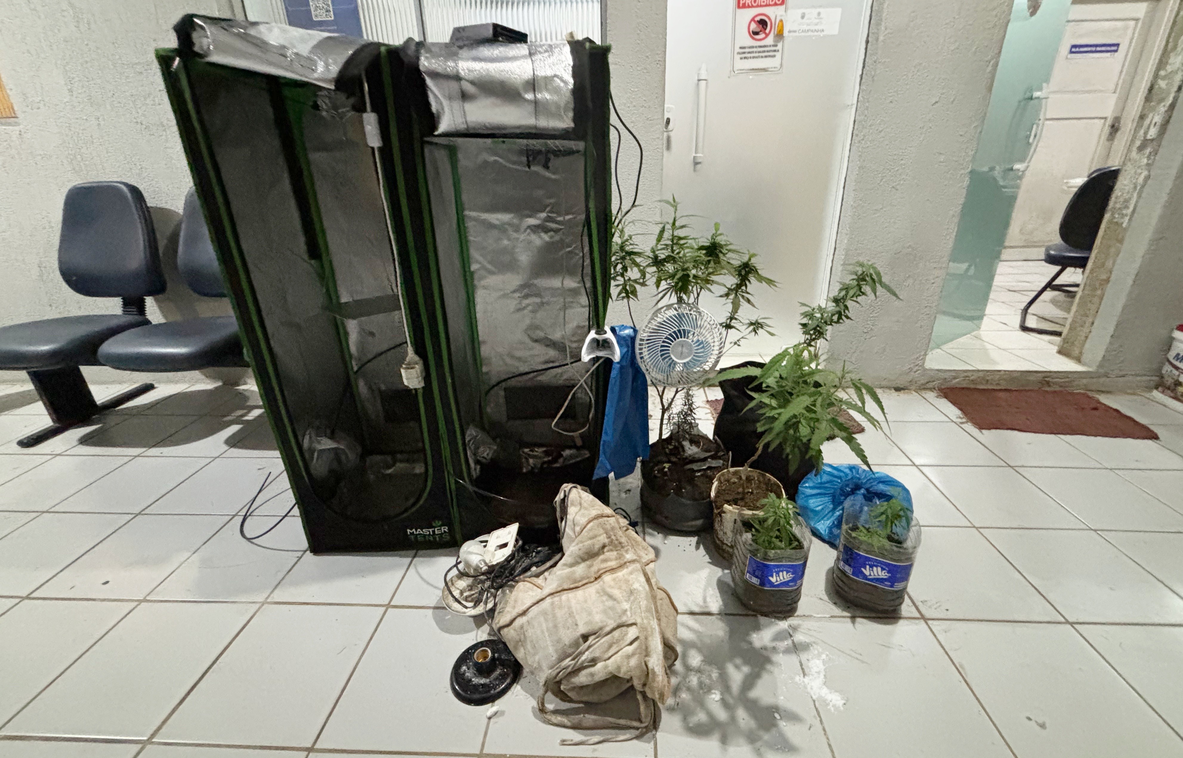 Homem é preso com plantação de maconha em Fernando de Noronha