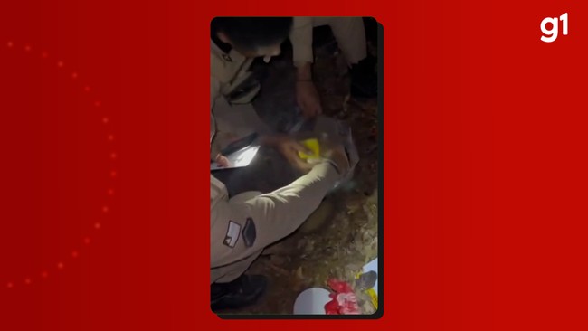 Quase 30kg de drogas são encontradas dentro de barril enterrado em trilha no sul da BA