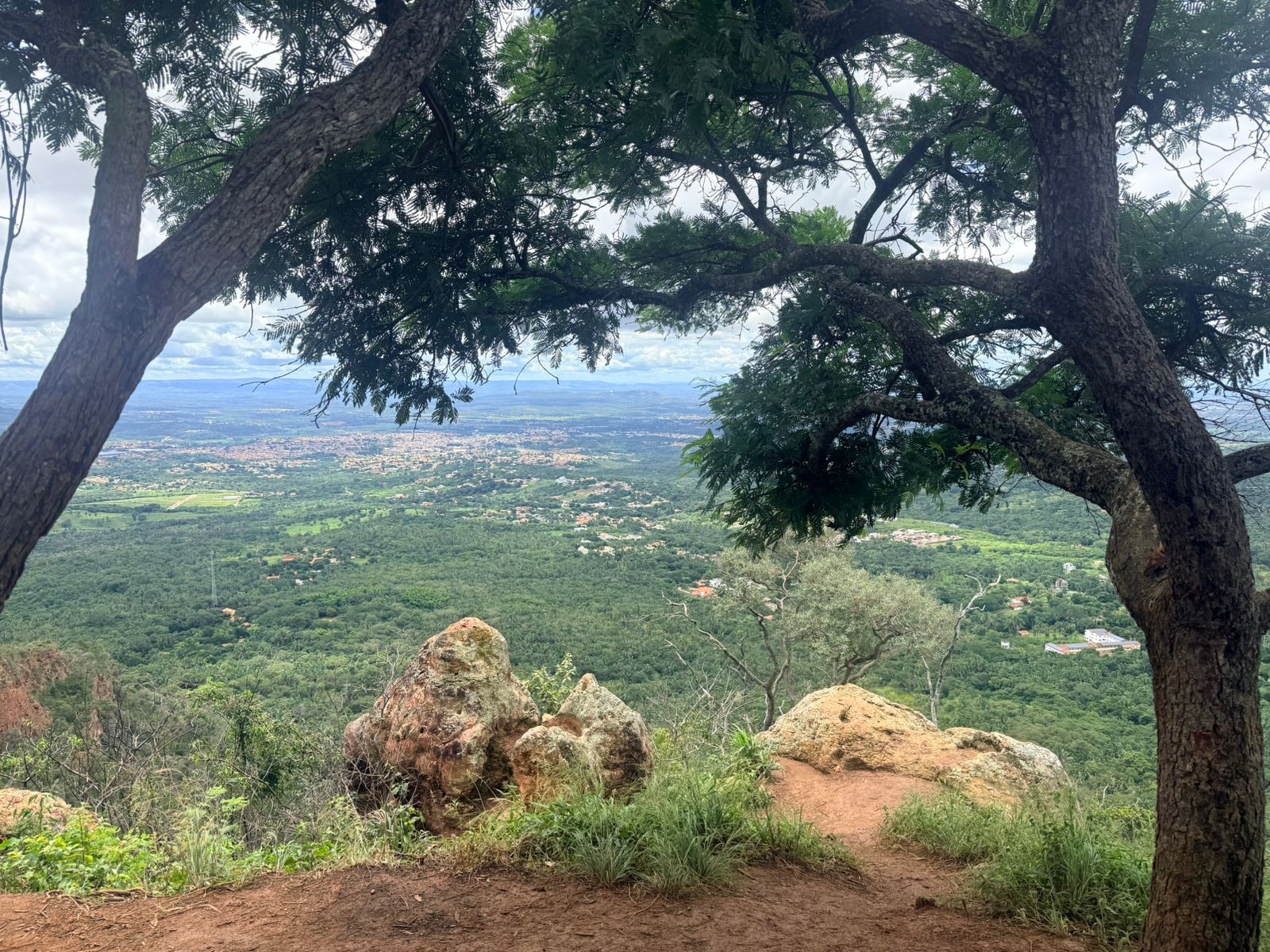Floresta Nacional do Araripe-apodi: 80 anos de história e trilhas que encantam o Cariri​‌​