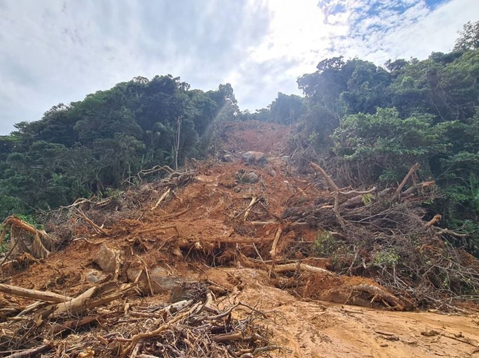 Drone replanta árvores em áreas onde houve deslizamentos em São Sebastião — Foto: Divulgação/ICC