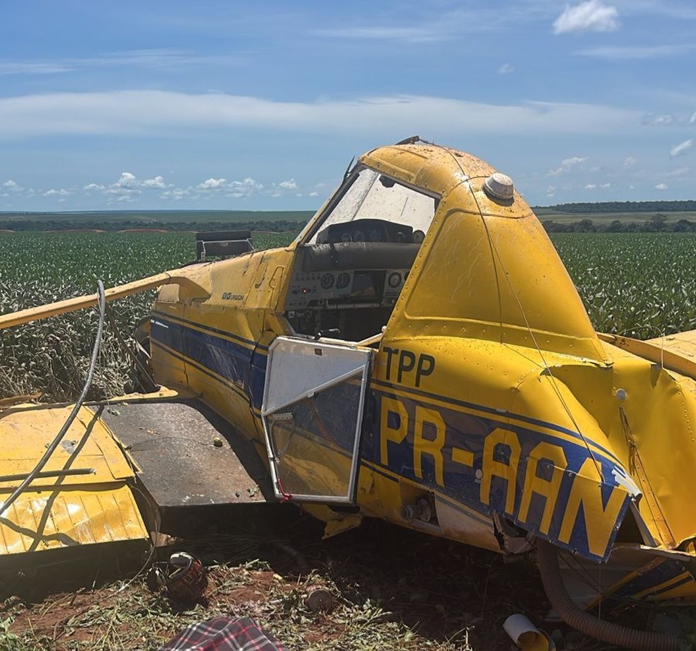 Avio realizava pulverizao agrcola em uma fazenda da regio, quando caiu.  Foto: Divulgao