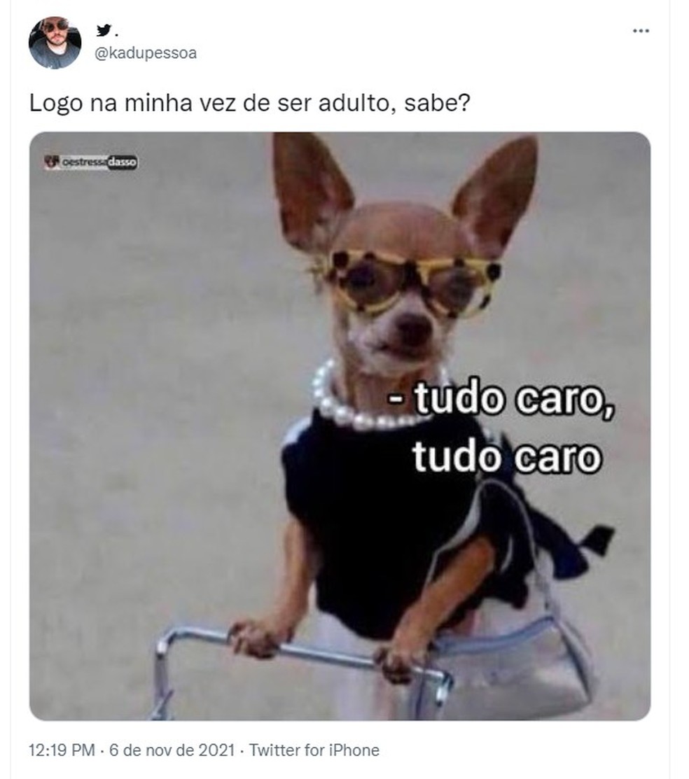 Logo na minha vez de ser adulto': jovens usam meme para reclamar de crise  econômica no Brasil, Distrito Federal