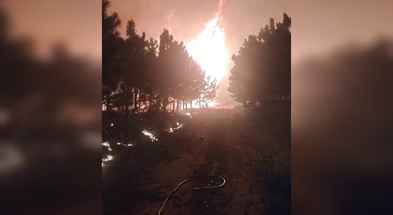 Idoso desaparece durante queimada em fazenda de Timburi