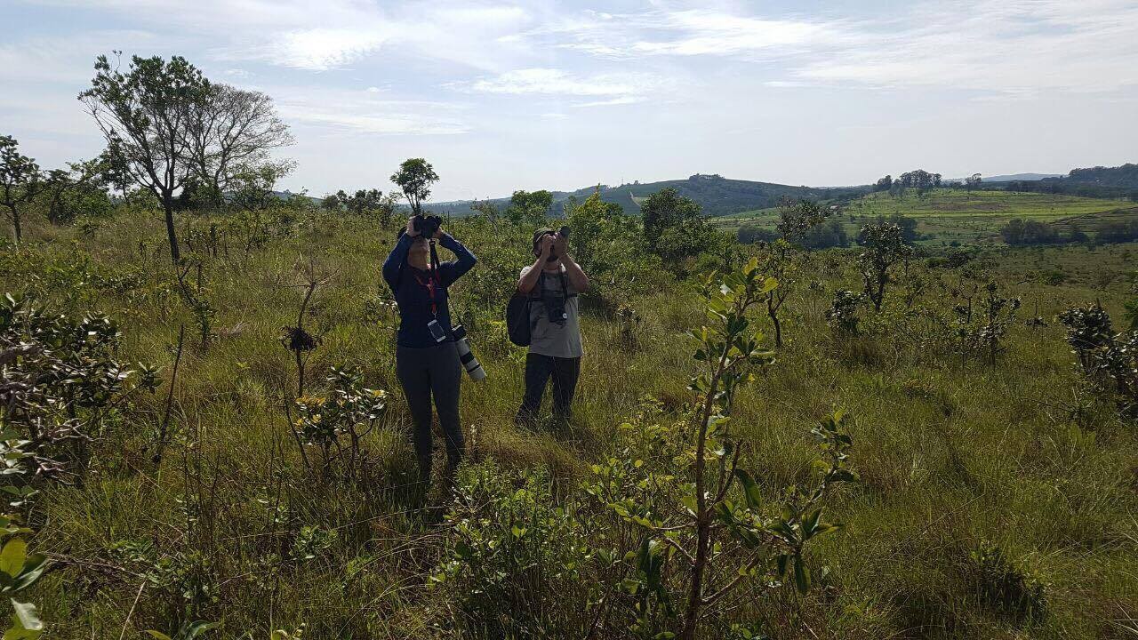 Alter do Chão recebe curso de capacitação em observação de aves na natureza; veja como participar