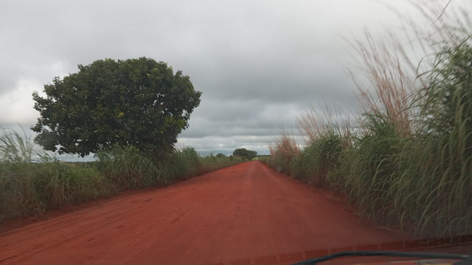 Com drones e cães farejadores, buscas por mecânico desaparecido em fazenda chegam ao sétimo dia